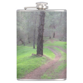 Cantil Pine Forest Road
