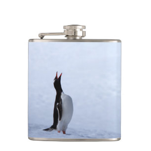 Cantil Pinguim Gentoo