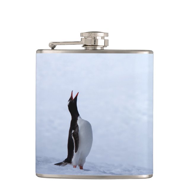 Cantil Pinguim Gentoo (Frente)