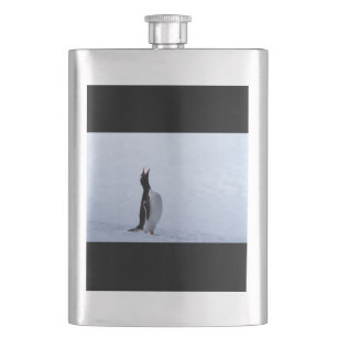 Cantil Pinguim Gentoo