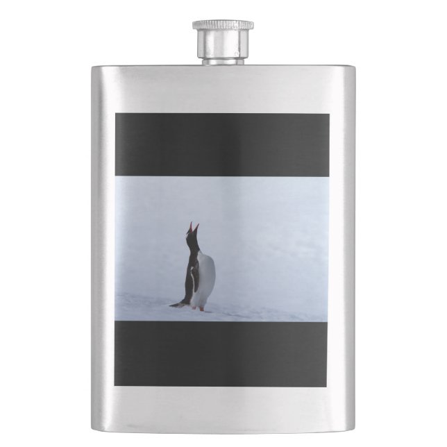 Cantil Pinguim Gentoo (Frente)