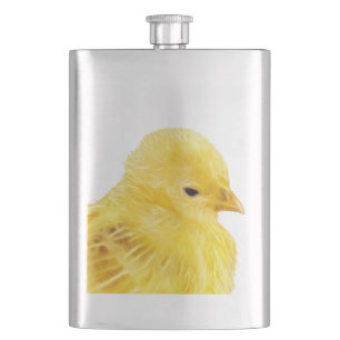 Cantil Pintinho amarelo bonito do animal do bebê