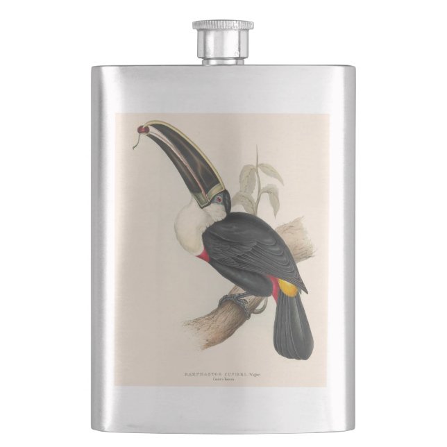 Cantil Pintura Antiquada de Pássaros Toucanos (Frente)