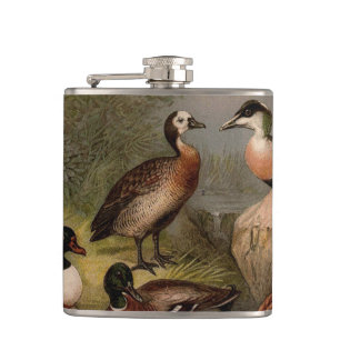 Cantil Pintura colorida de patos