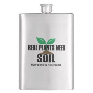 Cantil Plantas Reais Necessitam De Hidroponia Do Solo Não