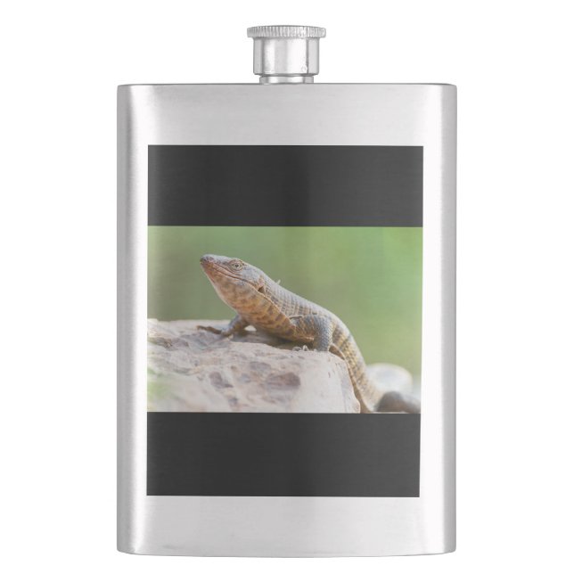 Cantil Plated Lizard (Frente)
