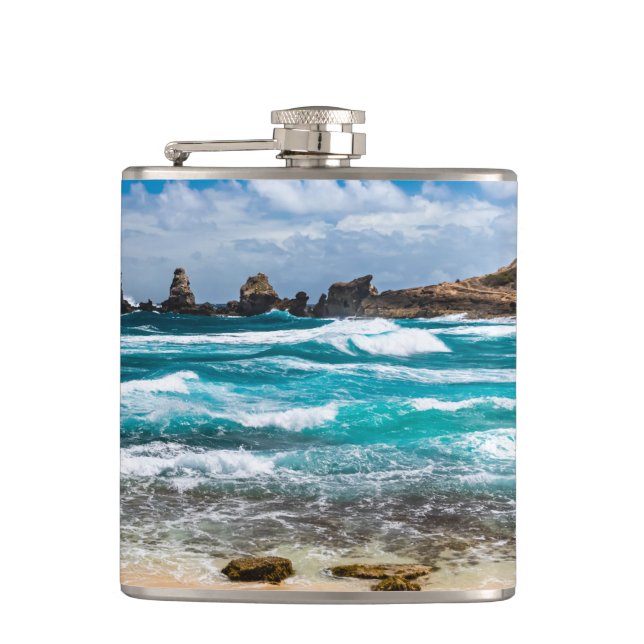 Cantil Pointe des Chateaux, Grande-Terre, Guadalupe (Frente)