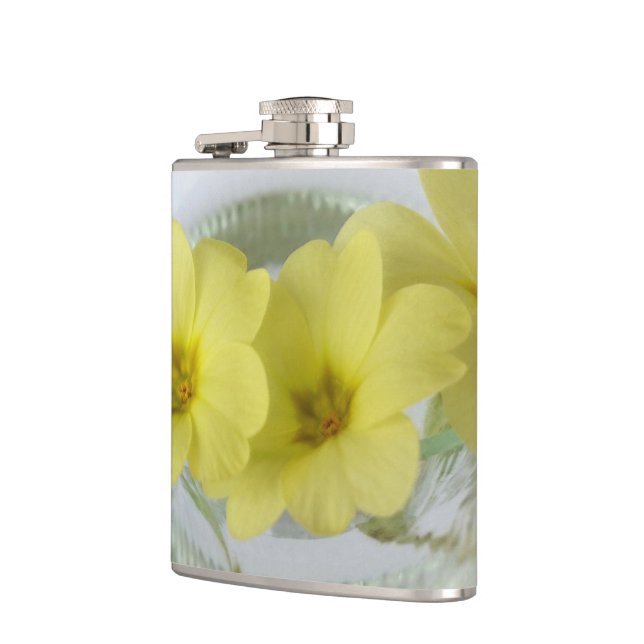 Cantil prímula numa xícara de café (Esquerda)