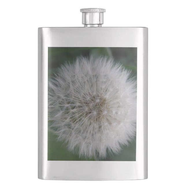 Cantil Propagação do Flor Dandelion (Frente)