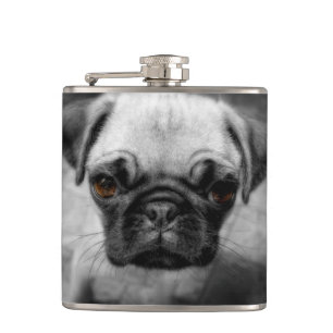Cantil Pug Pup