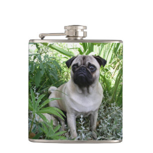 Cantil pug sentado