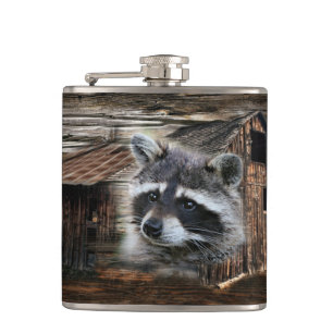 Cantil Raccoon No Velho Barn