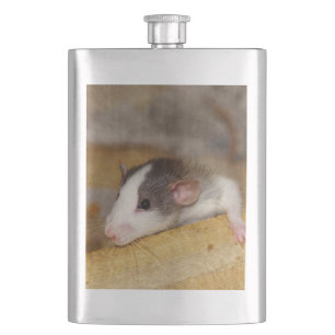 Cantil Rato
