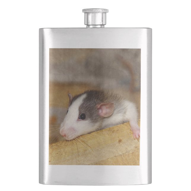 Cantil Rato Cujo (Frente)