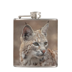Cantil Retrato de um Bobcat
