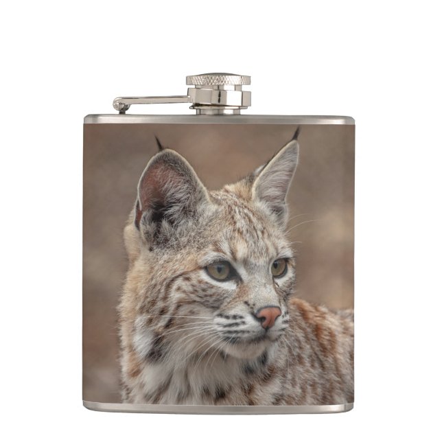 Cantil Retrato de um Bobcat (Frente)