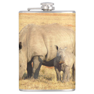 Cantil Rinoceronte-branco na áfrica