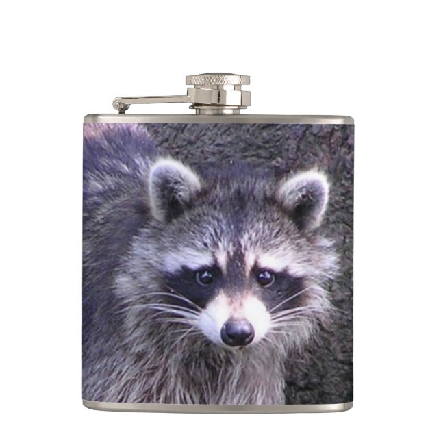 Cantil Rocky, o Raccoon (Frente)