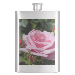 Cantil rosa perfeita cor-de-rosa e botões. amor, amizade
