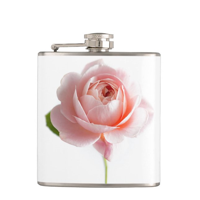 Cantil Rosa Rosa Rosa Rosa Vinil Molhado (Frente)
