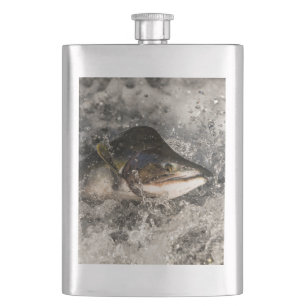 Cantil Salmão de Salmão