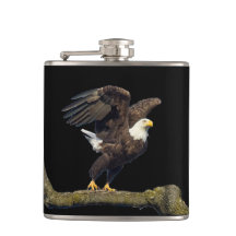 Salto da Águia Americana