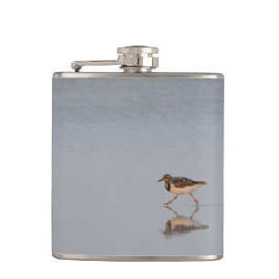 Cantil Sandpiper Bird Beach Nature Willife Fotografia