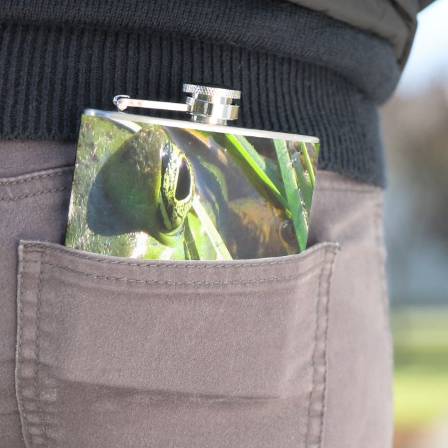 Cantil Sapo Verde (In Situ)