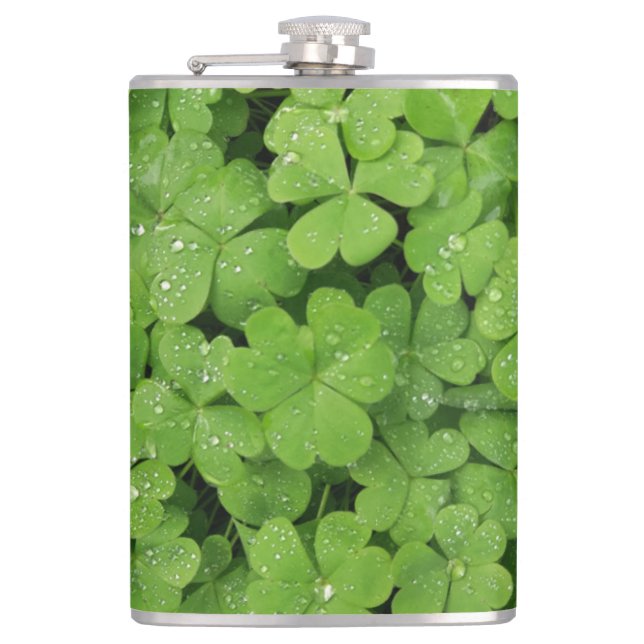 Cantil Shamrock verde fresco, Ruas sortudas. Trevo picant (Frente)