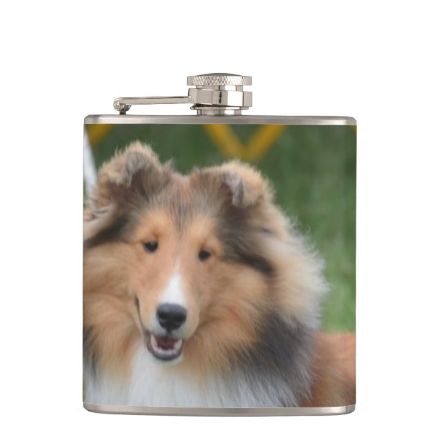 Cantil Sheltie bonito (Frente)