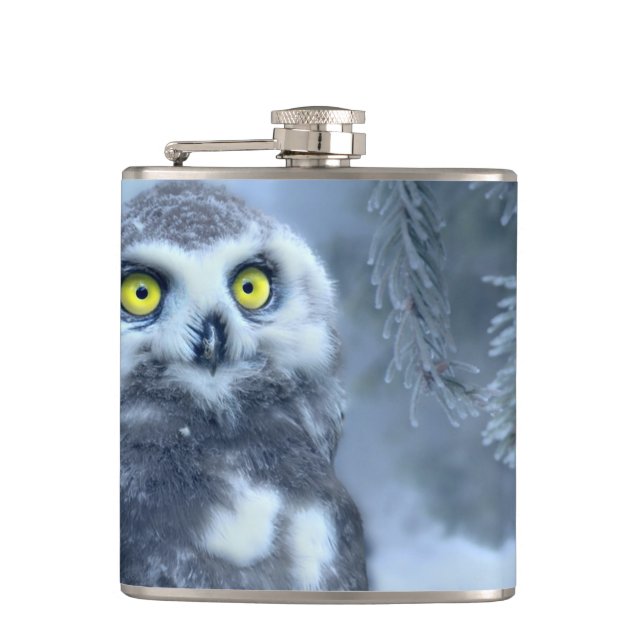 Cantil Snowy Owl no inverno (Frente)