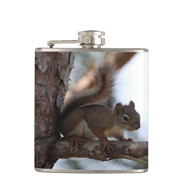 Cantil Squirrel in a Pine Tree (Frente)