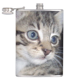 Cantil "Sussurros de Problemas: o Misquioso Tabby Kitten