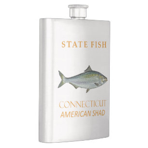 Cantil Território de Connecticut Peixe a Sável Americana