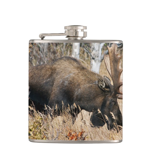 Cantil Touro Mose (Frente)