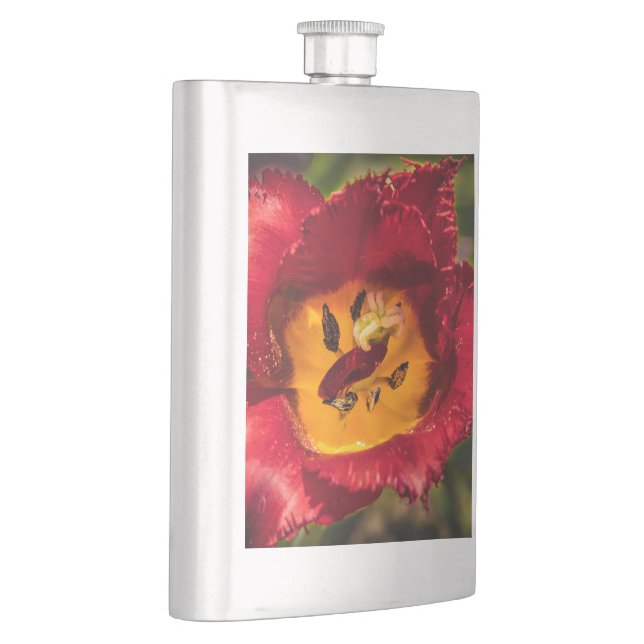 Cantil tulipa vermelha (Direita)