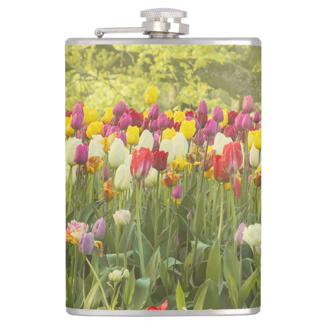 Cantil Tulipas coloridas num parque (Frente)