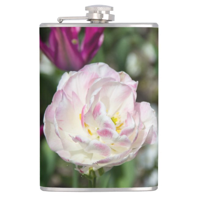 Cantil Tulipas cor-de-rosa brilhantes num dia ensolarado (Frente)