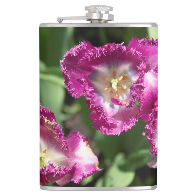 Cantil Tulipas púrpuras e brancas no jardim (Frente)