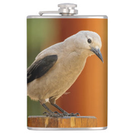 Cantil Um Curioso Quebra-Nozes de Clark