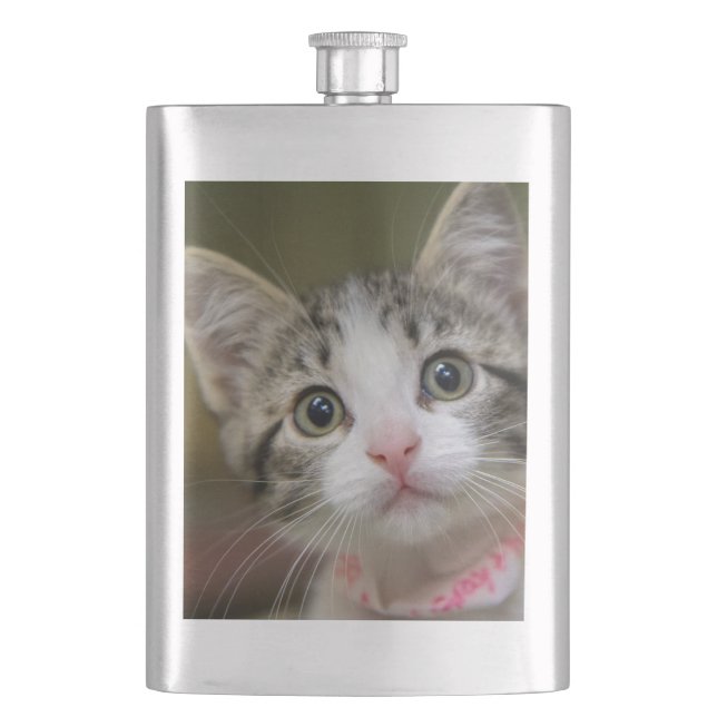 Cantil Um gatinho bonito com olhos verdes (Frente)