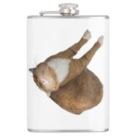 Cantil Upside-Down Sunshine Cat
