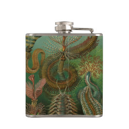 Cantil Verme Vermes Antigos Chaetopoda por Ernst Haeckel