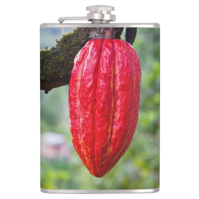 Cantil vermelho de cacau (Frente)