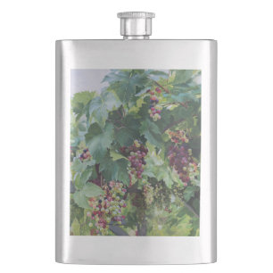 Cantil Vinícola do Vale do Loire – Pintura de Uvas France