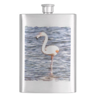 Cantil Wild Flamingo