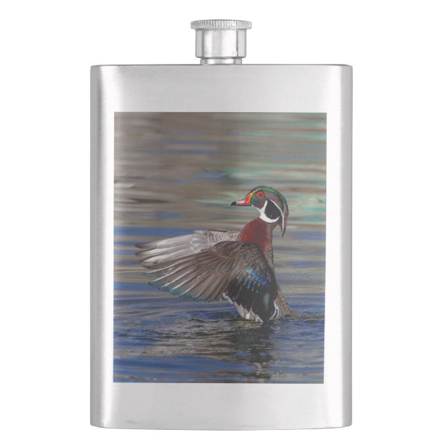 Cantil Wing Flapping Wood Duck (Frente)