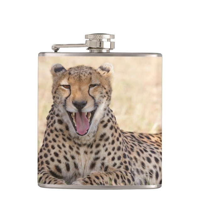 Cantil Yawning Cheetah (Frente)