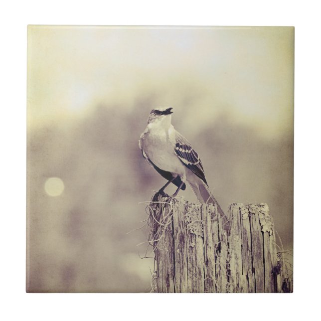 Canto ao mundo! (Frente)