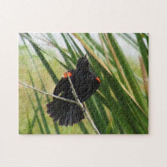 Cantor Red Winged Blackbird - Quebra-cabeça Bird J (Horizontal)